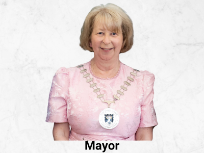 Ann Higgins
